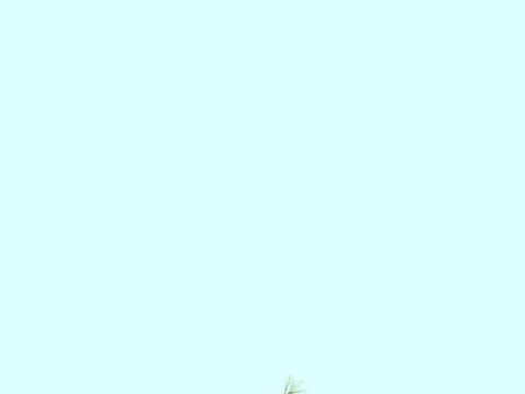 动态二叉树